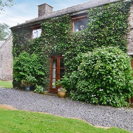 Greig House Farm Villa Llangattock Lingoed Eksteriør billede